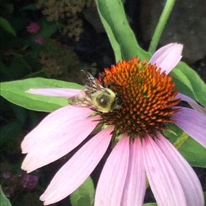 Meet your Posher, Kath